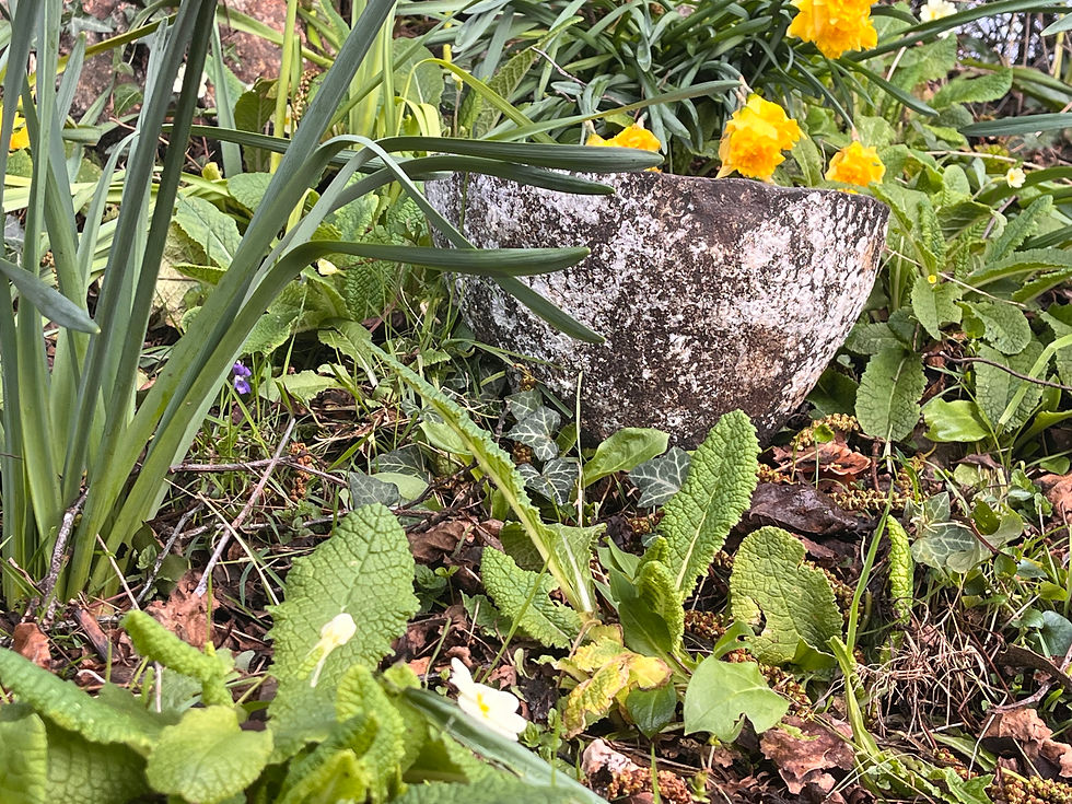 Miniature : Meyn Drudh – Precious Stone – Vessel 2