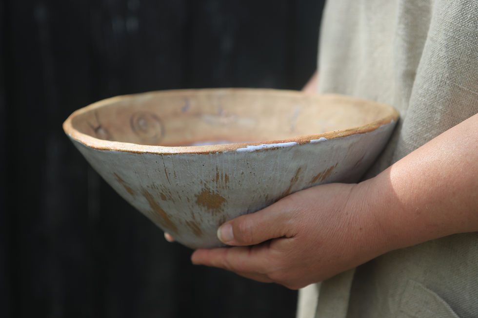 Thumbnail: Cave Illustration Bowl