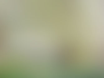 An impasto landscape painting by Claude Monet year 1880