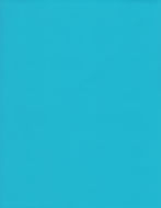 Suntext Vinylona 61" Aqua Vinyl Awning Fabric