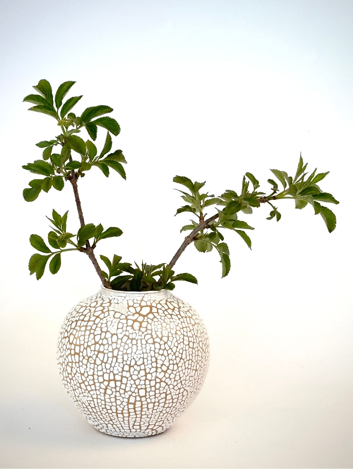 Mini moon in white crawl