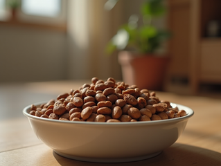 La conexión entre alimentación y salud animal: nutrición saludable para mascotas