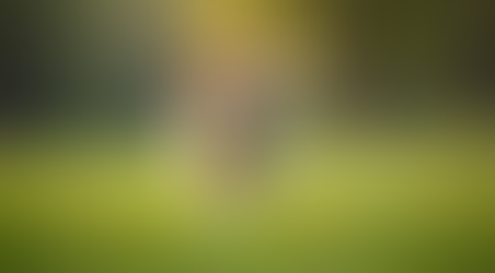 Cuidados saludables para perros: Mejora la salud de tu perro con estos consejos