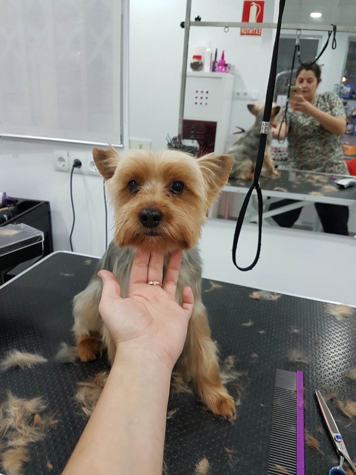 Rufo (después)