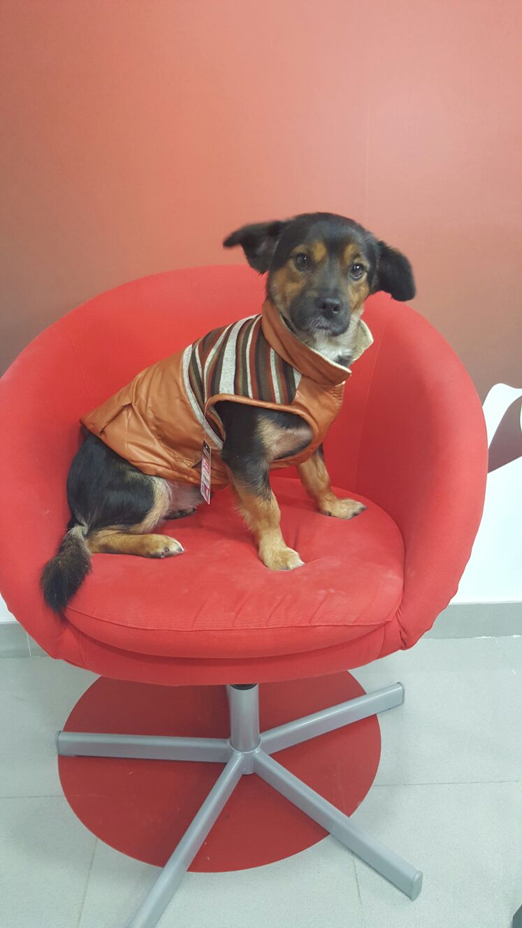 Pío con chaleco