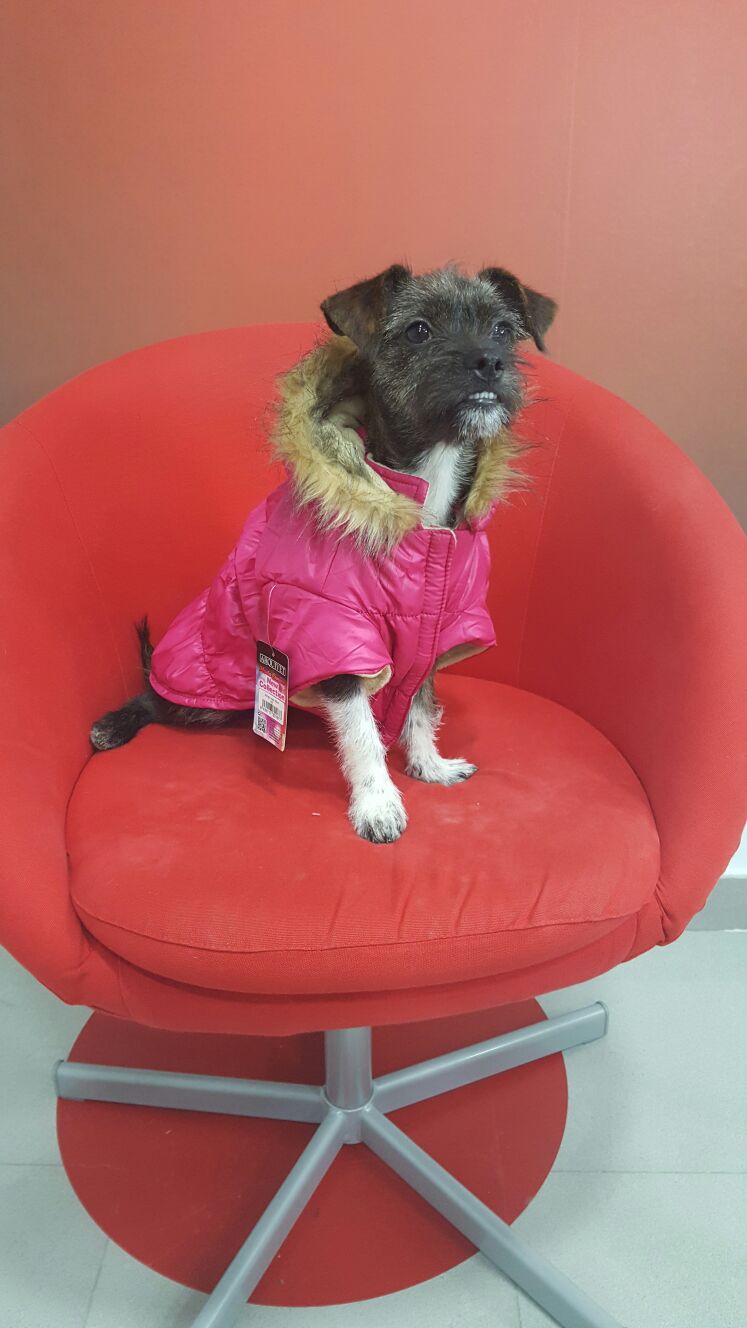 Llum con anorak rosa