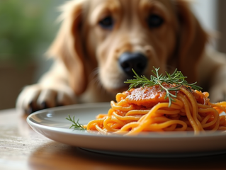 Claves para mejorar la salud de perros: Cuida a tu mejor amigo como se merece