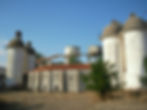 SANY0669