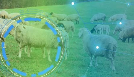 Jornada AGROTEST DIGITAL León. Demostraciones tecnológicas en la producción de rumiantes