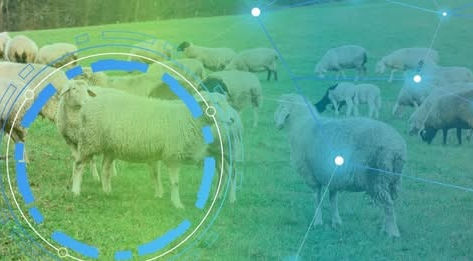 Jornada AGROTEST DIGITAL León. Demostraciones tecnológicas en la producción de rumiantes