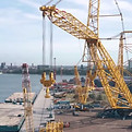 0_hpc-crane-sarensPNG_edited.jpg