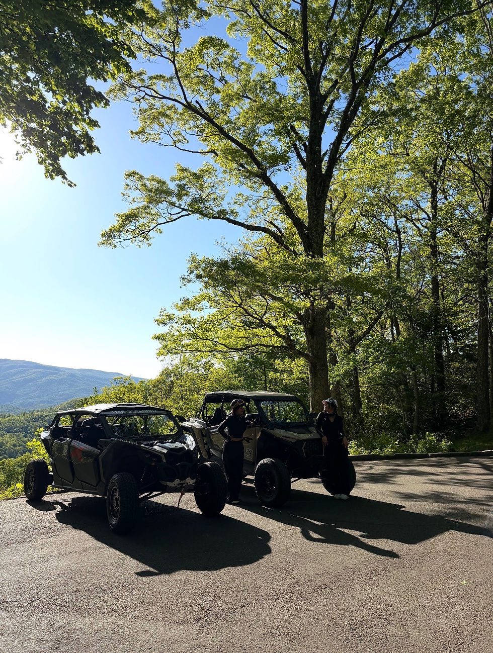 Are UTV Rentals Worth It in Gatlinburg? 