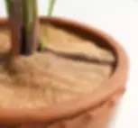 Close-up of a coconut coir mulch mat placed around a plant in a terracotta pot