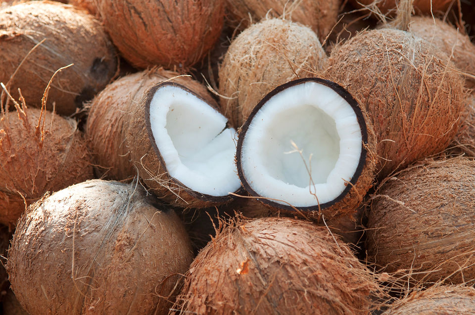 Coconuts, the natural and renewable source of coco coir fibers