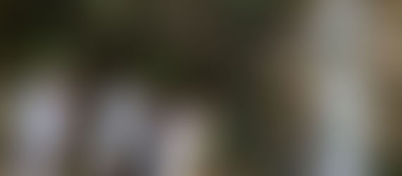 R8年4月 芦屋高座の滝 滝行と護摩行