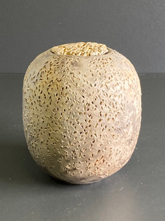nr 31