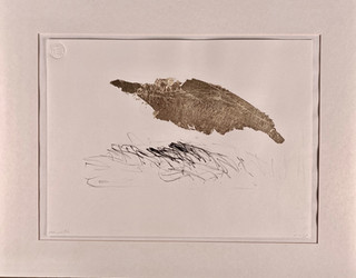 nr 26