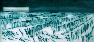 Slagmark_Radering-paa-plexiglas_51x112cm_2012.jpeg