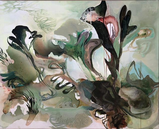 Nr 13