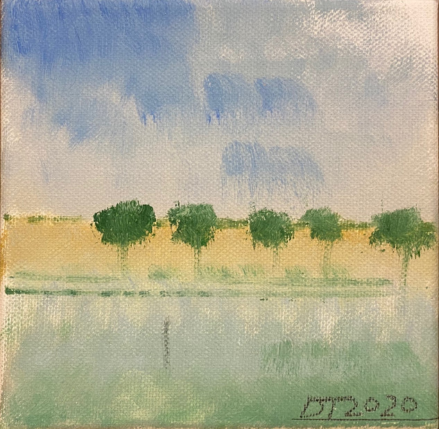 Nr 36