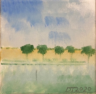 Nr 36