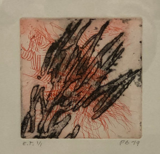 Nr 23