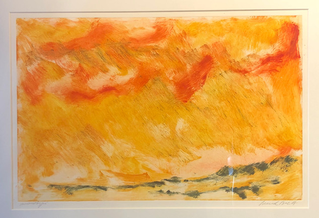 Nr 19