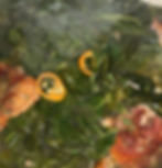 Vegetable Soul Food Seasoning
