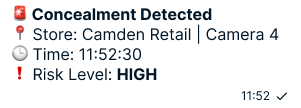 Concealment theft alert message from QuantumEye system with timestamp and store info