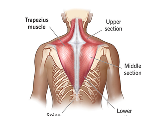 Stronger Upper Back, Fewer Headaches