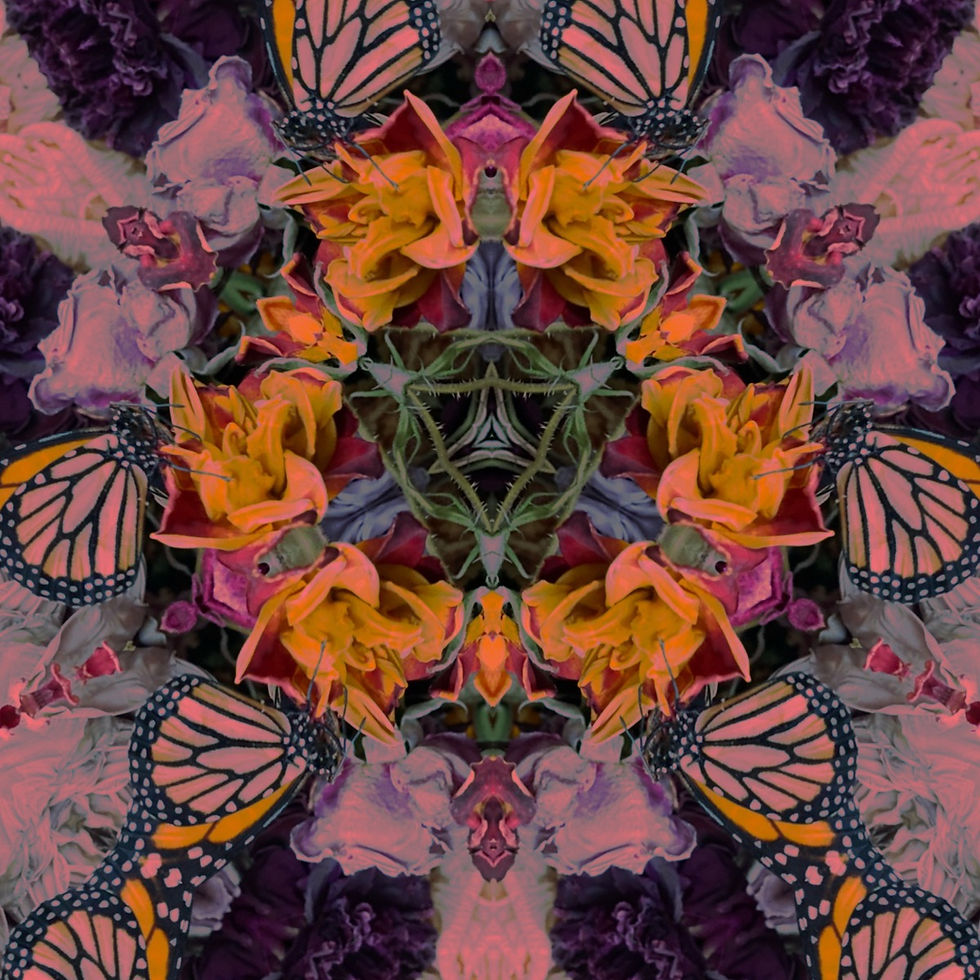 EIGHTH HOUSE Workshop