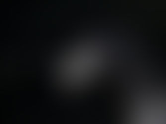 a horse representing the brand archetype of Hermes luxury brandf