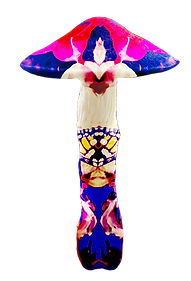 dancing mushroom 3_edited.png