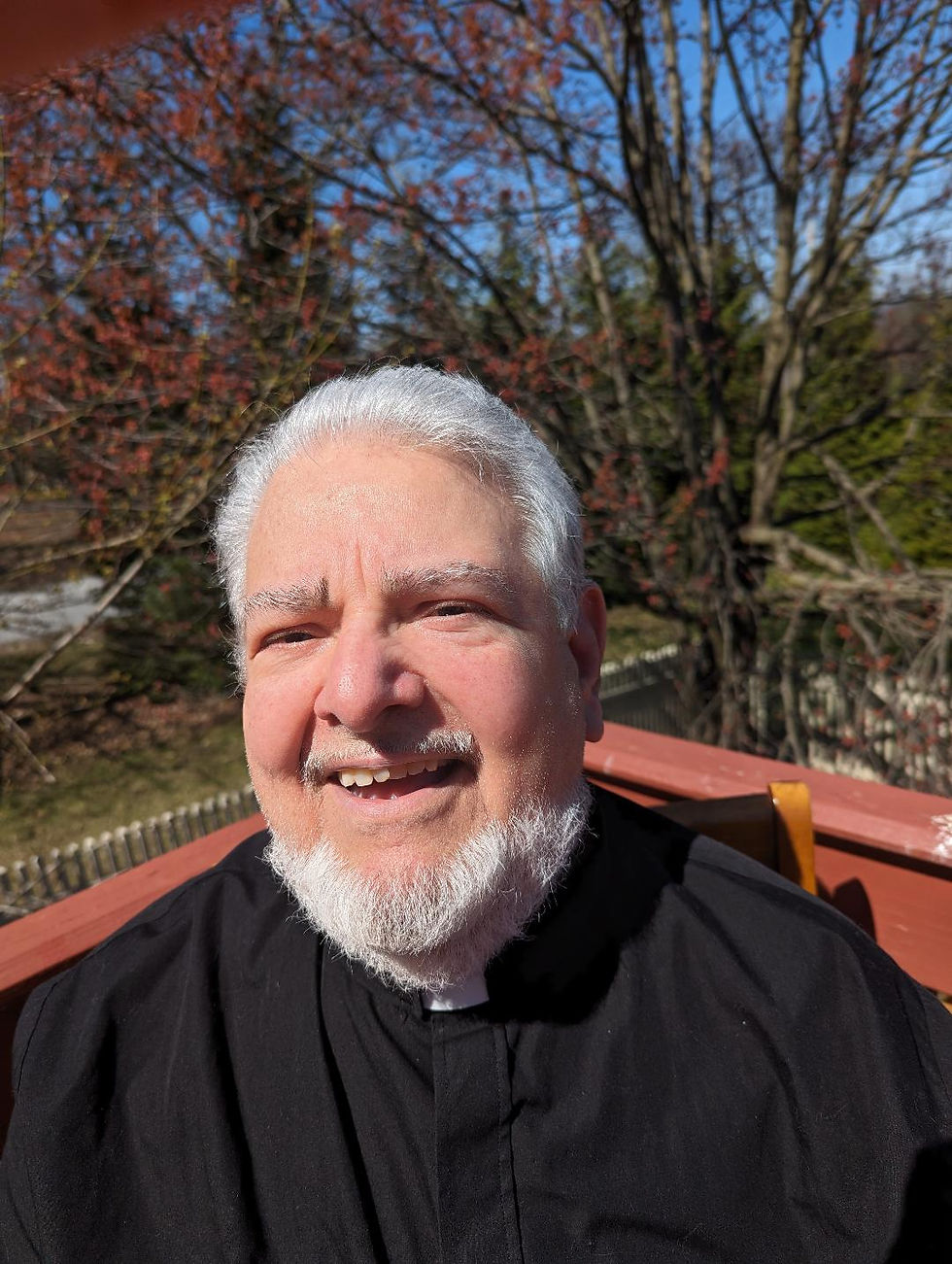 Pastor 3