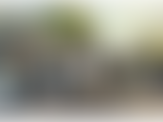 The Smoke and the Badge: A Ferguson Flashpoint