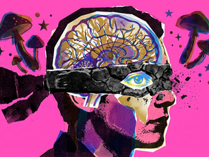 The Neuroplastic Renaissance