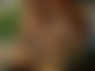 The Bio-Cultural Evolution of Zea Mays: A Comprehensive Analysis of Domestication, Anthropological Impact, and Global Economic Heritage