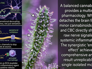 Comprehensive Analysis of Cannabinoid Pharmacology for Pain Management