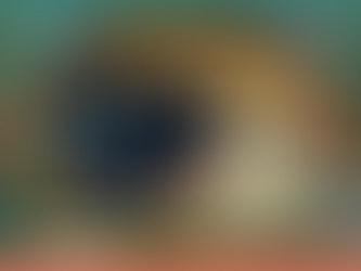 Momma Soko Cat and the Star-Custard Apple