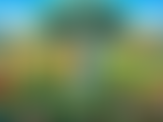 Synergistic Neuropharmacology and Therapeutic Frameworks of Psilocybin and Cannabis: Mechanisms, Neuroplasticity, and Radical Healing