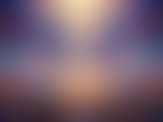 The Architecture of Dissolution: Schopenhauer, Psilocybin, and the End of the Ego