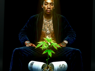 The Botanical Resurrection: A Sociological and Clinical Analysis of the Khalifa Paradigm in Trauma Recovery and Anti-Capitalist Resistance