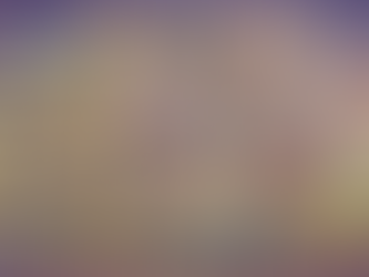 The Architecture of the After: Scaffolding a Soul from the Ash