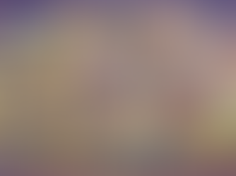 The Architecture of the After: Scaffolding a Soul from the Ash