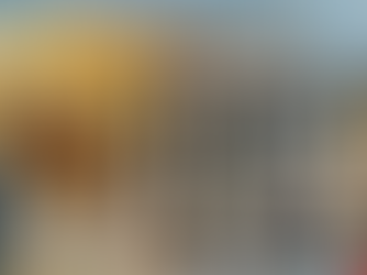 Structural Disparities and the Two-Tiered Architecture of the United States Justice System: A Comprehensive Analysis