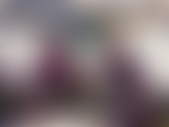 Team Plum: A Miracle in Seattle