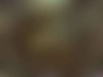 DIAMOND DOGS // ARA!