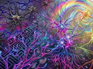 The Dynamism of the Mind