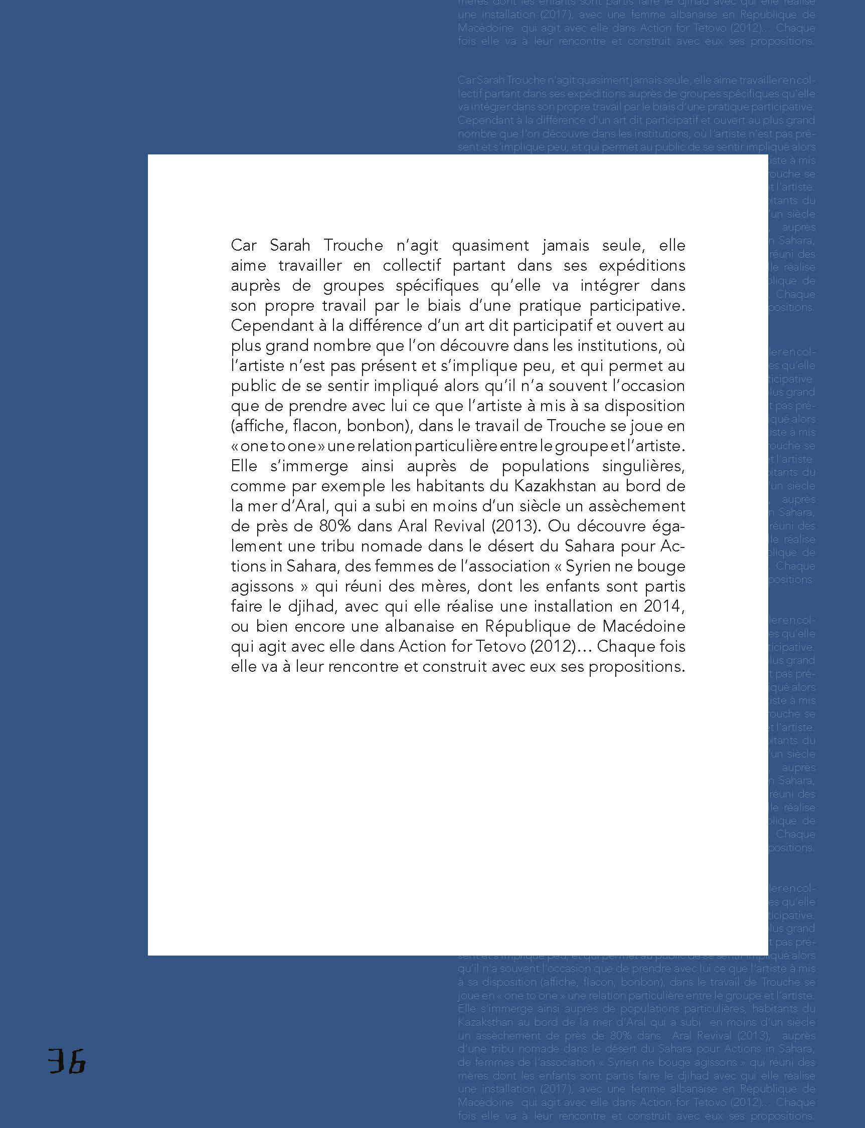  Pages(pantone) PAUL ARDENNE_Page_32.jpg