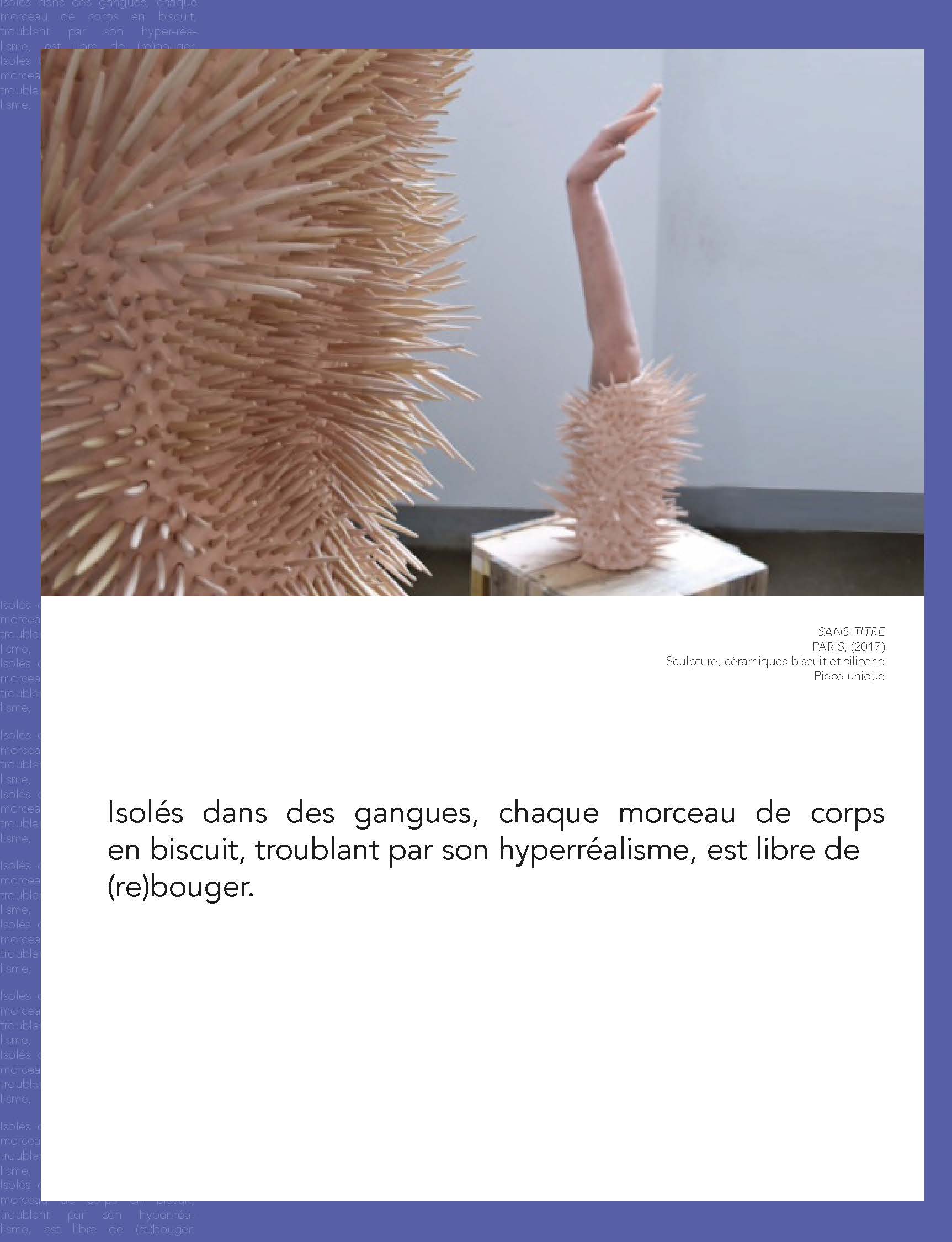 _Pages(pantone)_VICTOR_MAZIÈRE_Page_17.j
